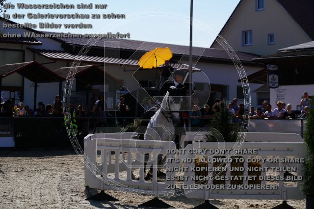 s_K3F03667.JPG